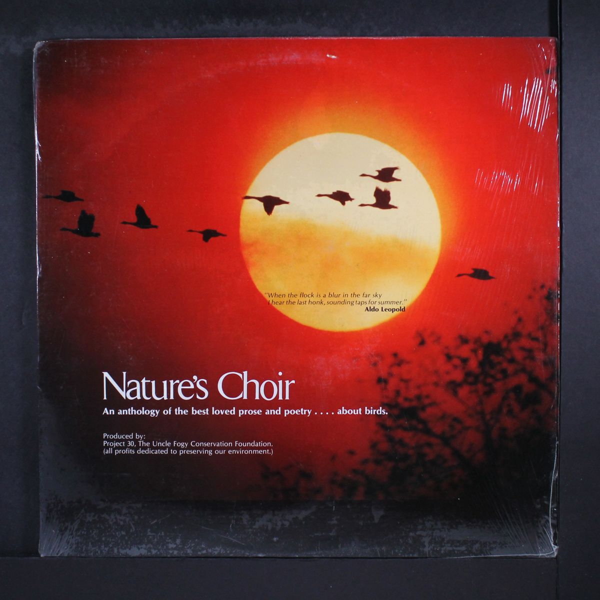 nature's choir: an anthology of best loved prose and poetry about birds by VARIOUS