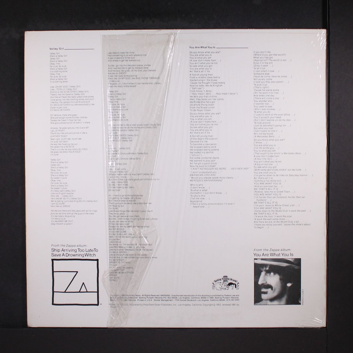 valley girl / you are what you is by FRANK & MOON ZAPPA