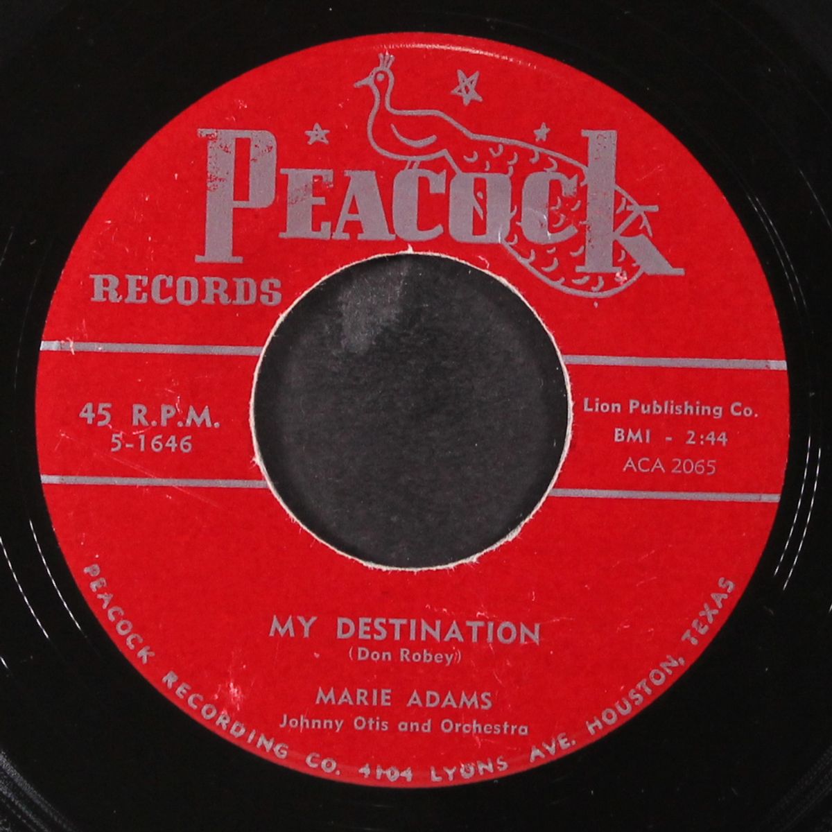the shape i'm in / my destination by MARIE ADAMS