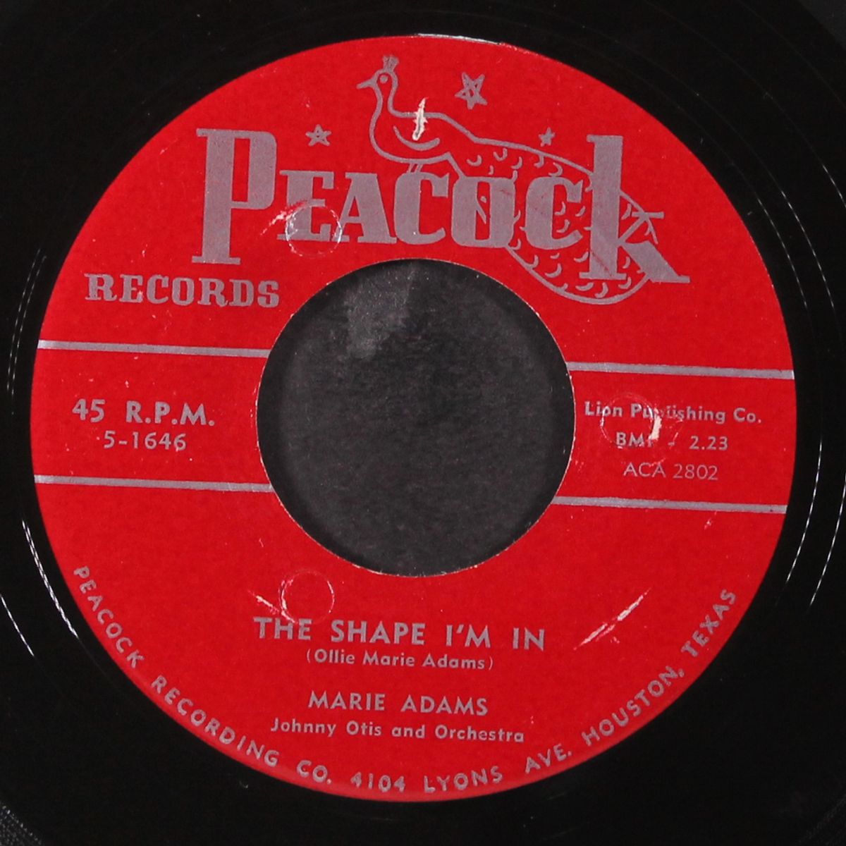 the shape i'm in / my destination by MARIE ADAMS