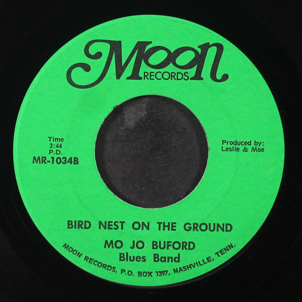 early one morning / bird nest on the ground by MOJO BUFORD