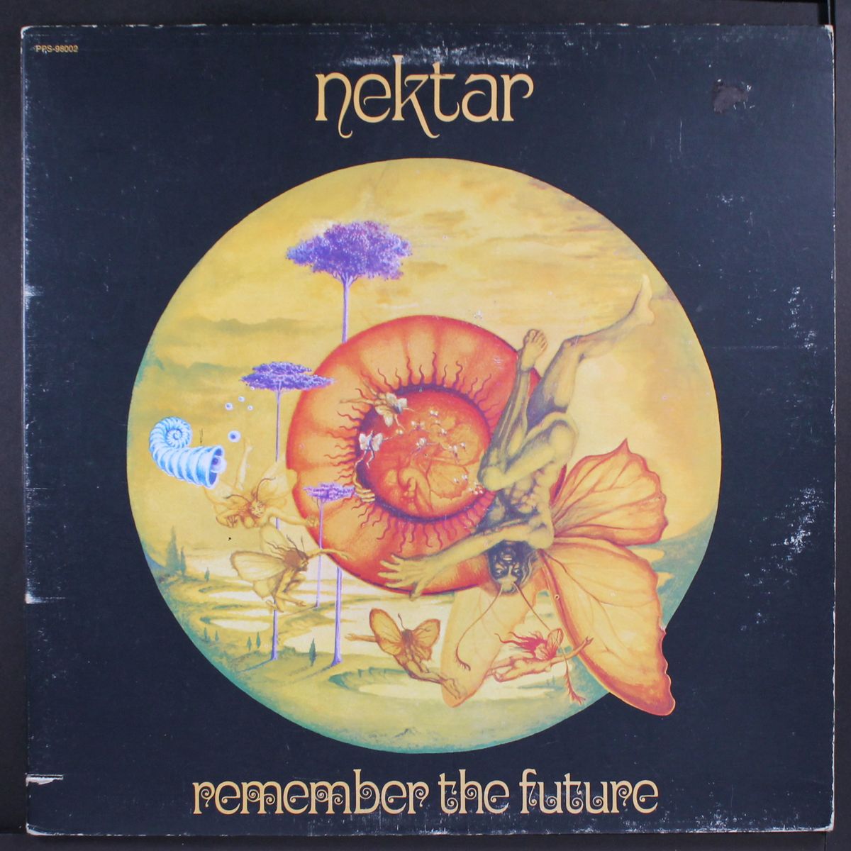 remember the future by NEKTAR