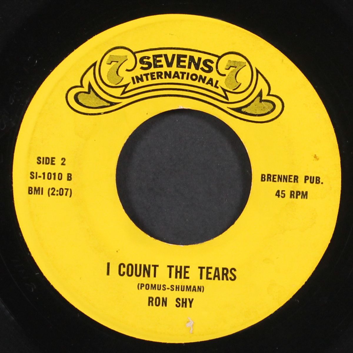 i count the tears by RON SHY