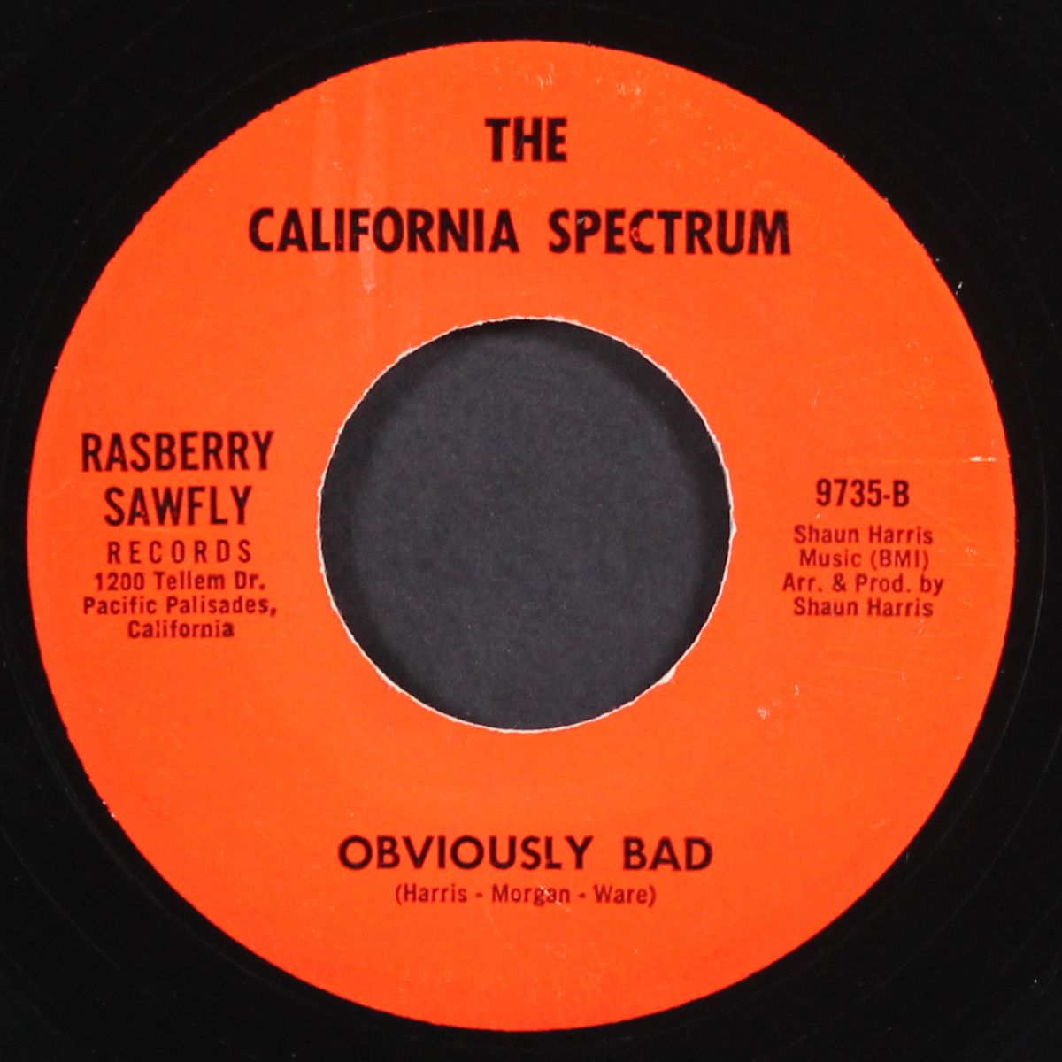sassafras / obviously bad by CALIFORNIA SPECTRUM