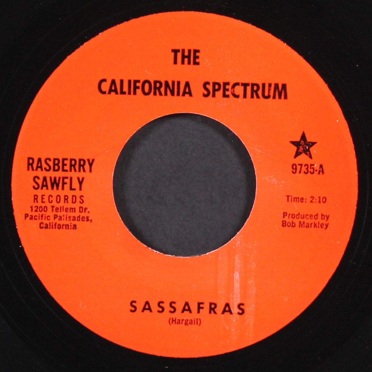 sassafras / obviously bad by CALIFORNIA SPECTRUM