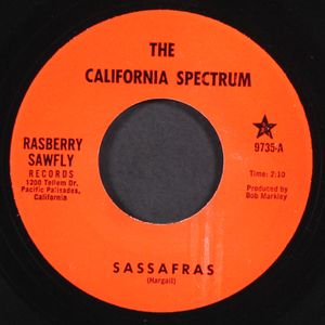 CALIFORNIA SPECTRUM