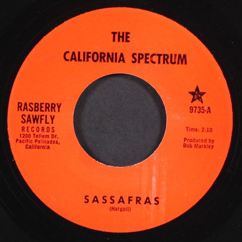 CALIFORNIA SPECTRUM