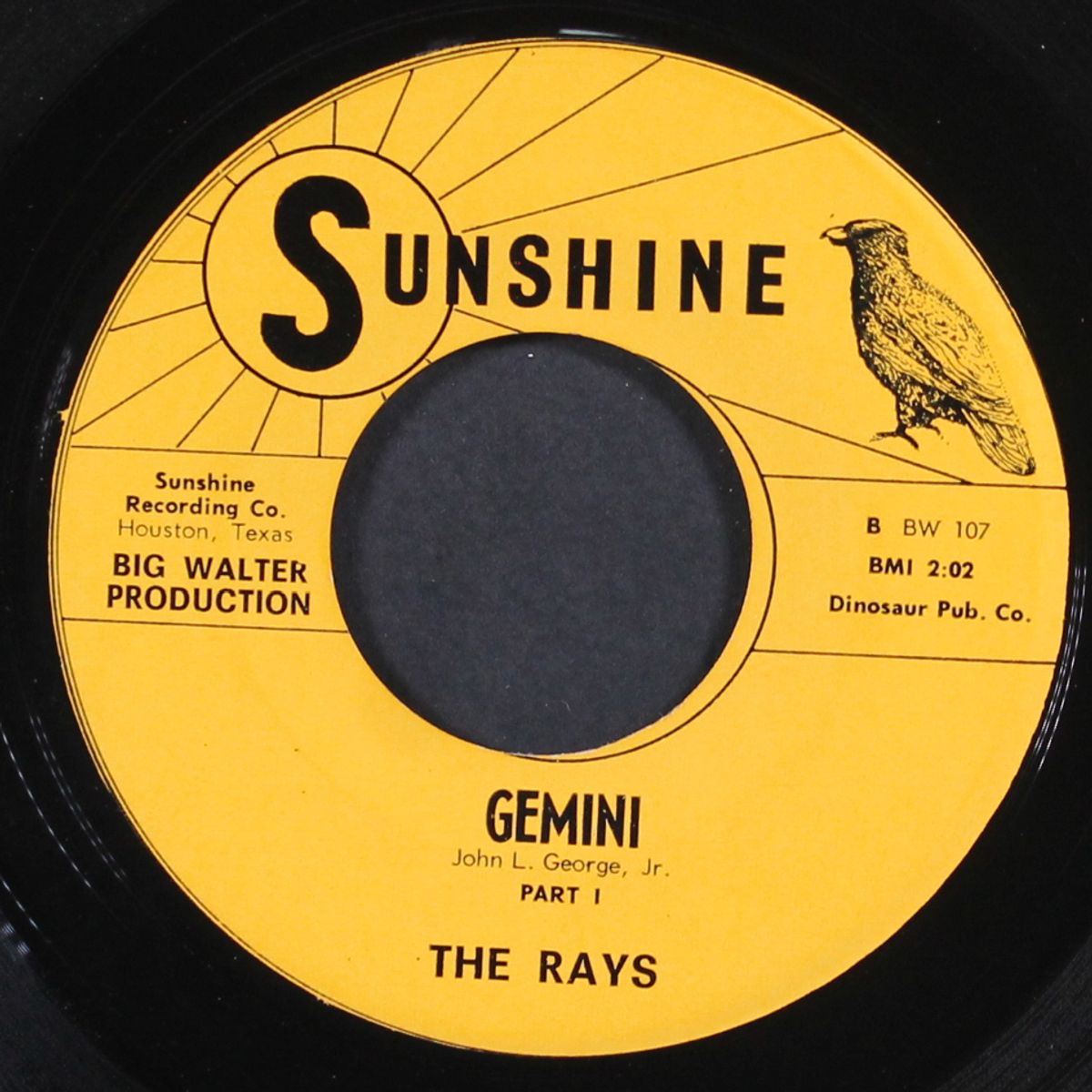 gemini by RAYS