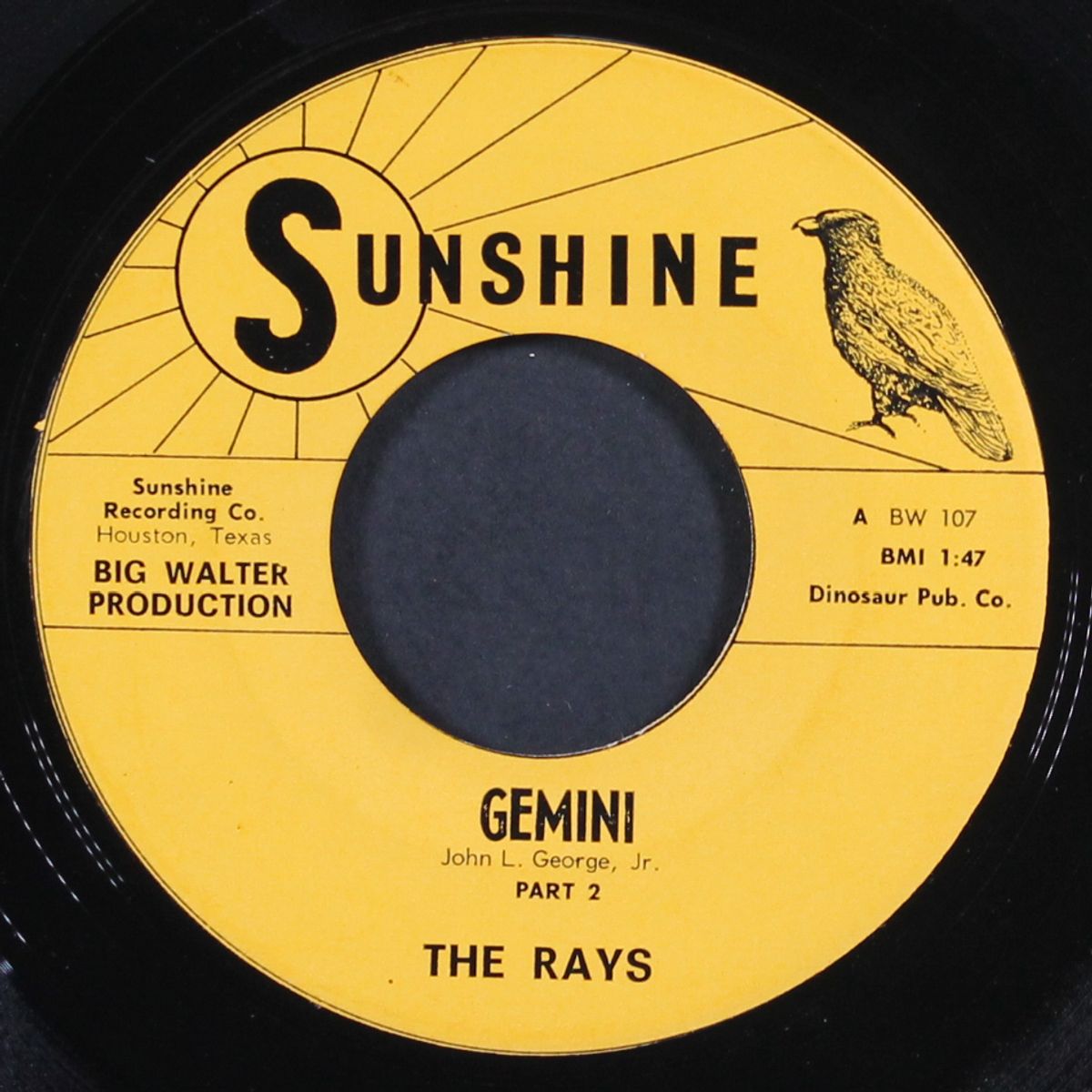 gemini by RAYS