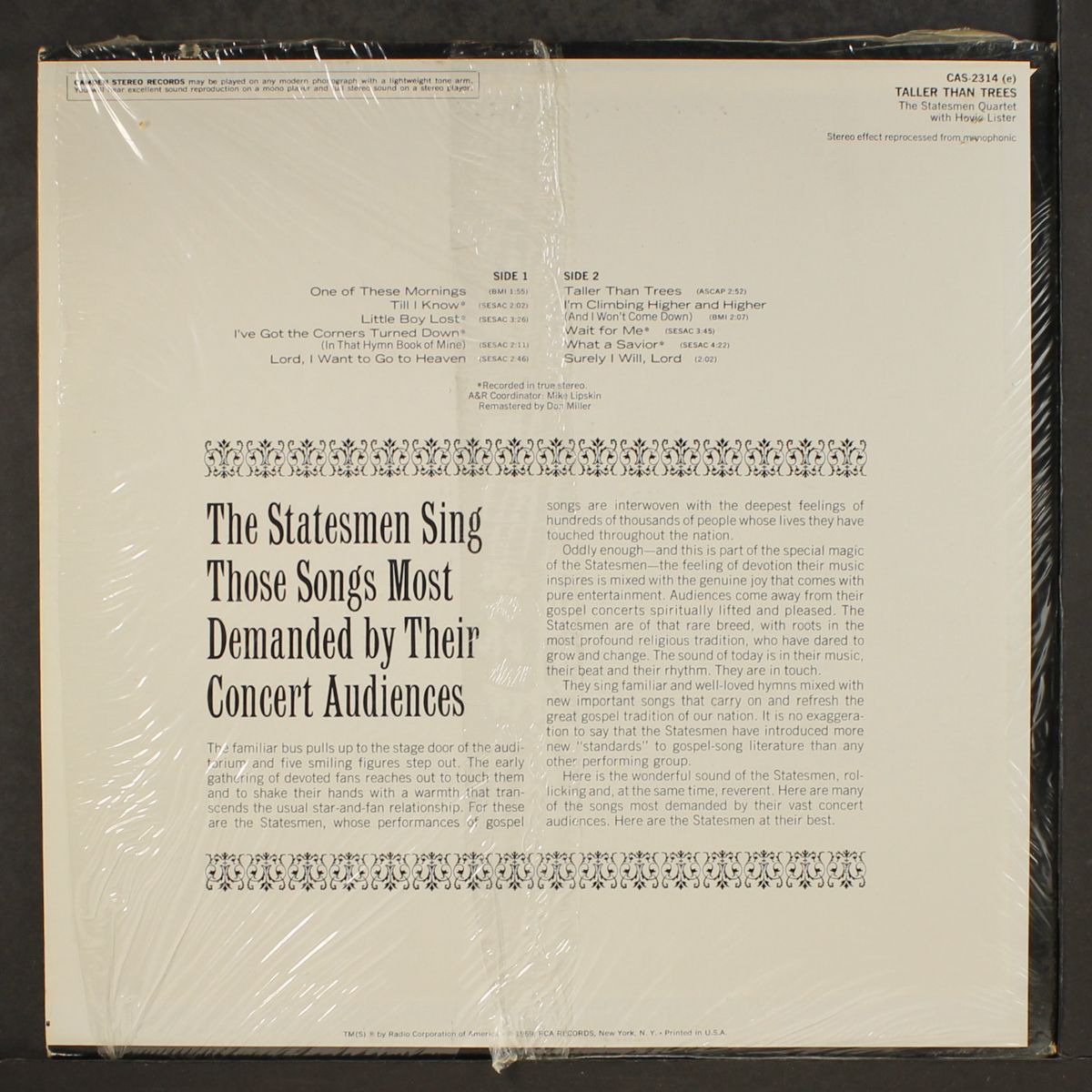 taller than trees by STATESMEN