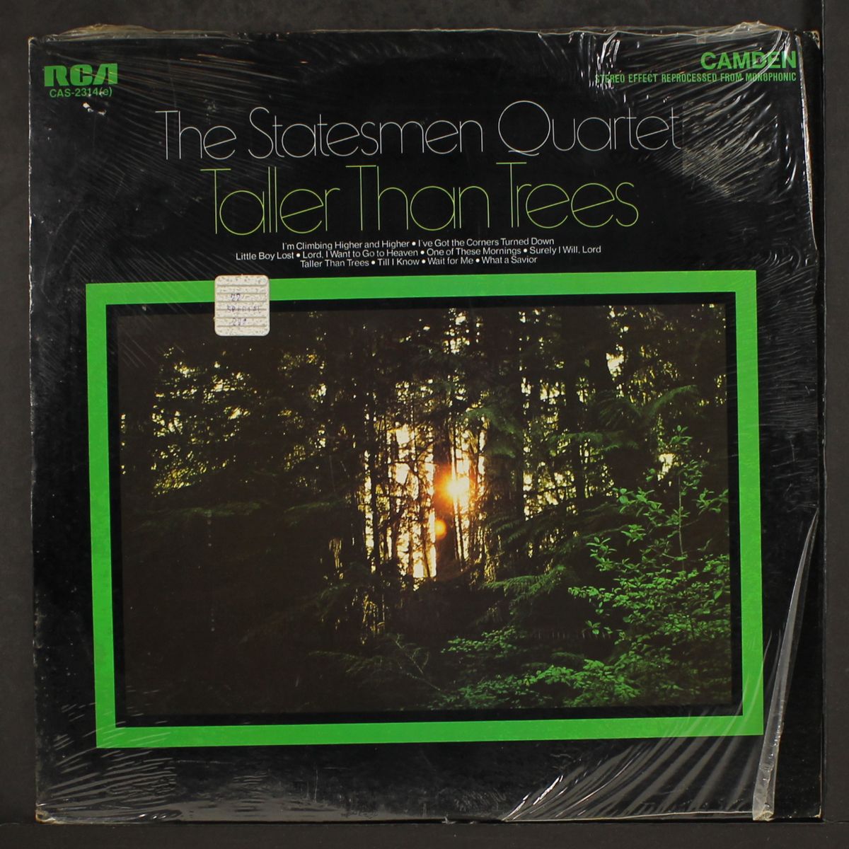 taller than trees by STATESMEN