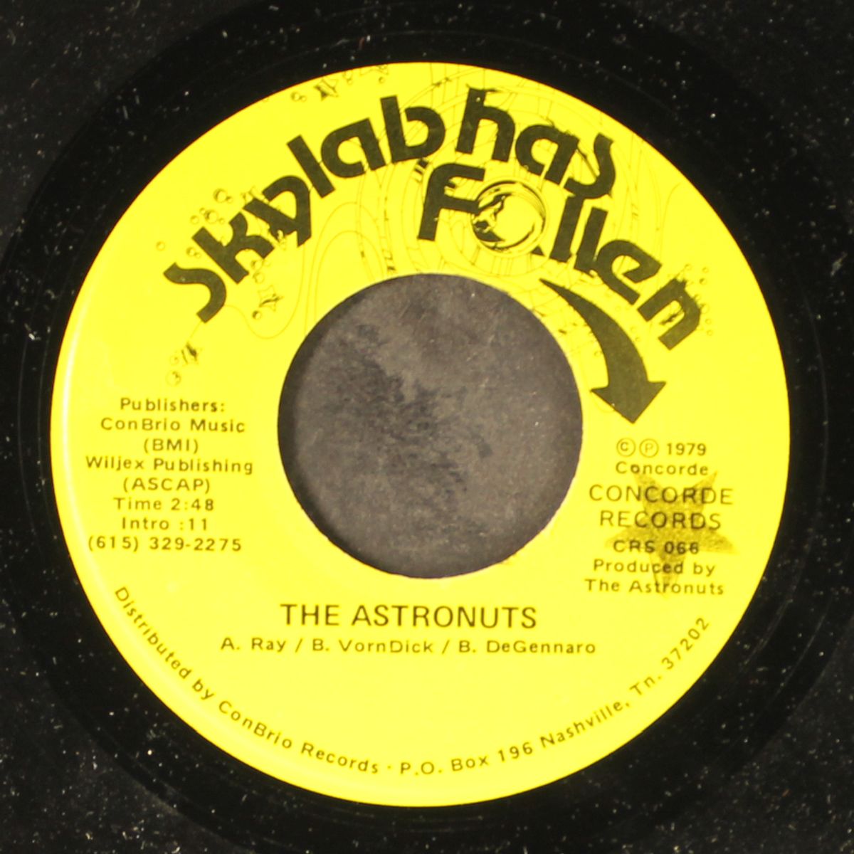 skylab is falling / skylab has fallen by ASTRONUTS