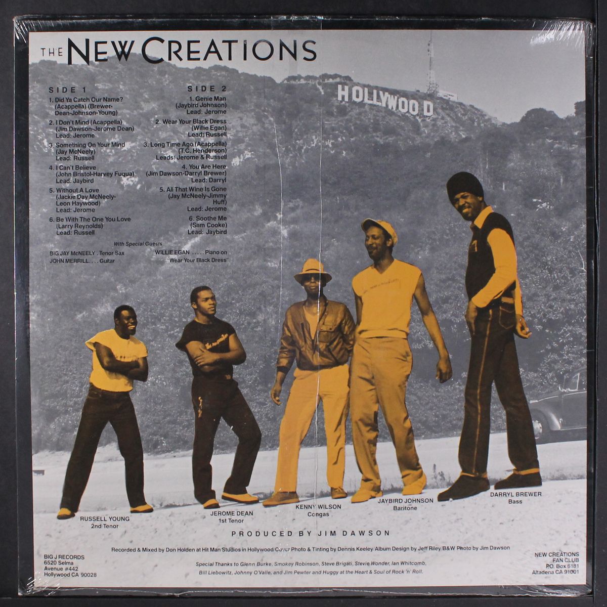 new creations by NEW CREATIONS