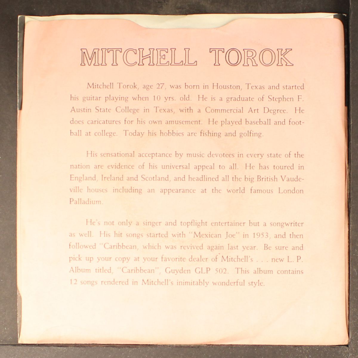 pink chiffon / what you don't know by MITCHELL TOROK