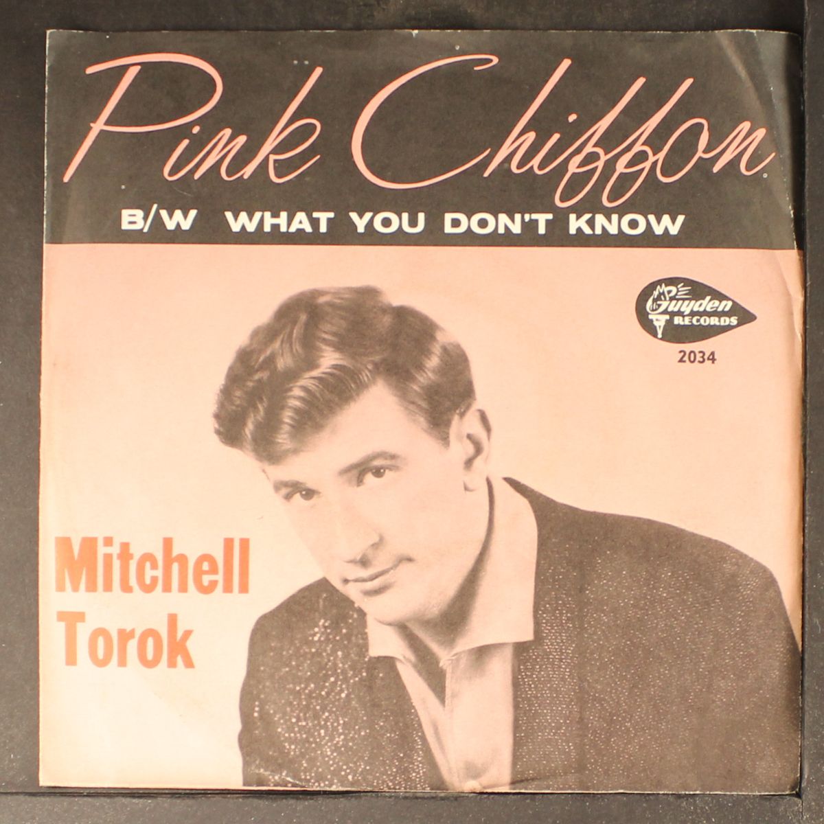 pink chiffon / what you don't know by MITCHELL TOROK