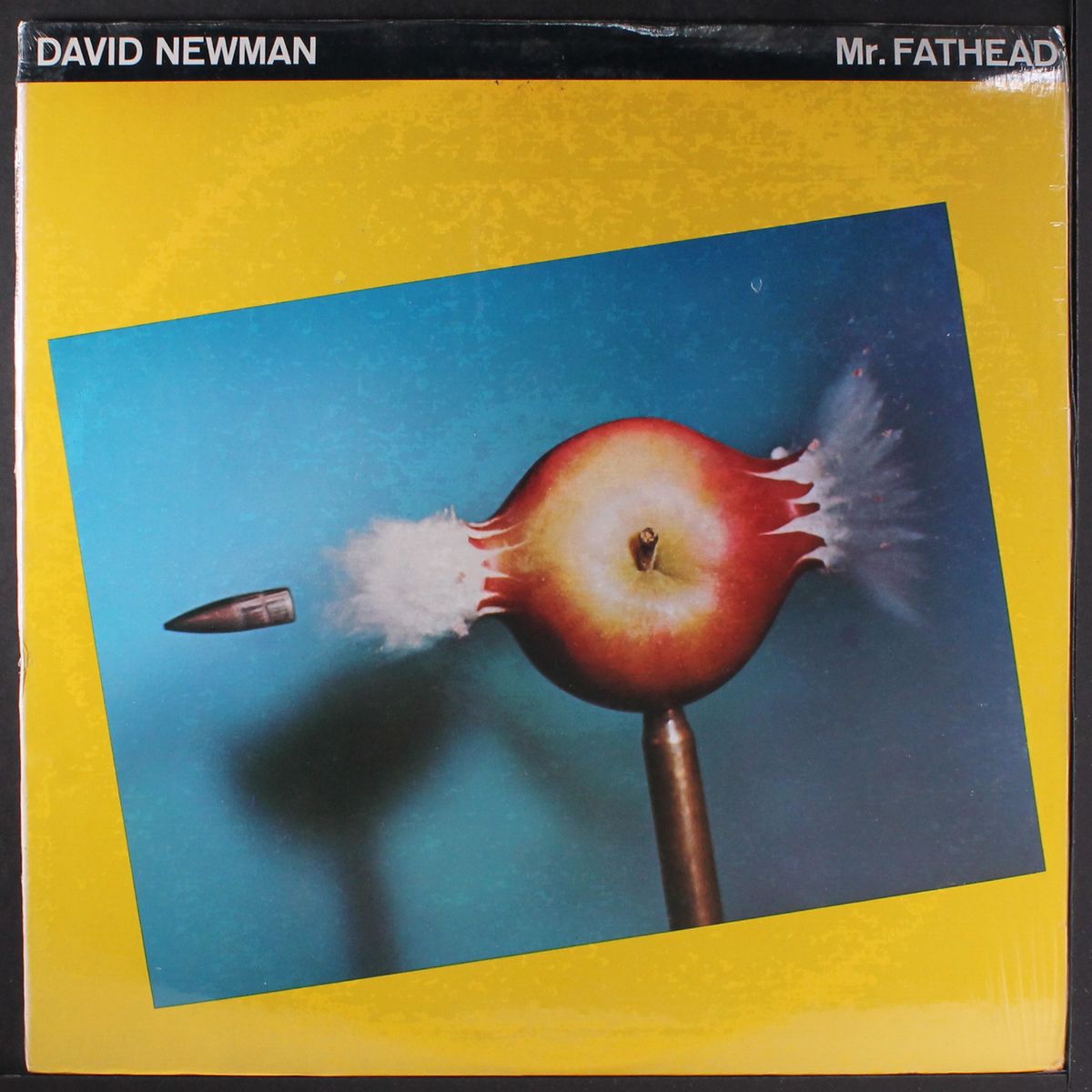 mr. fathead by DAVID NEWMAN