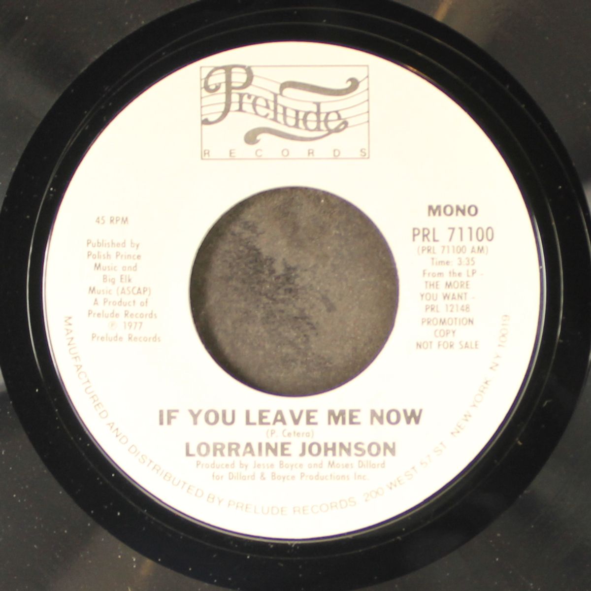 if you leave me now / mono by LORRAINE JOHNSON