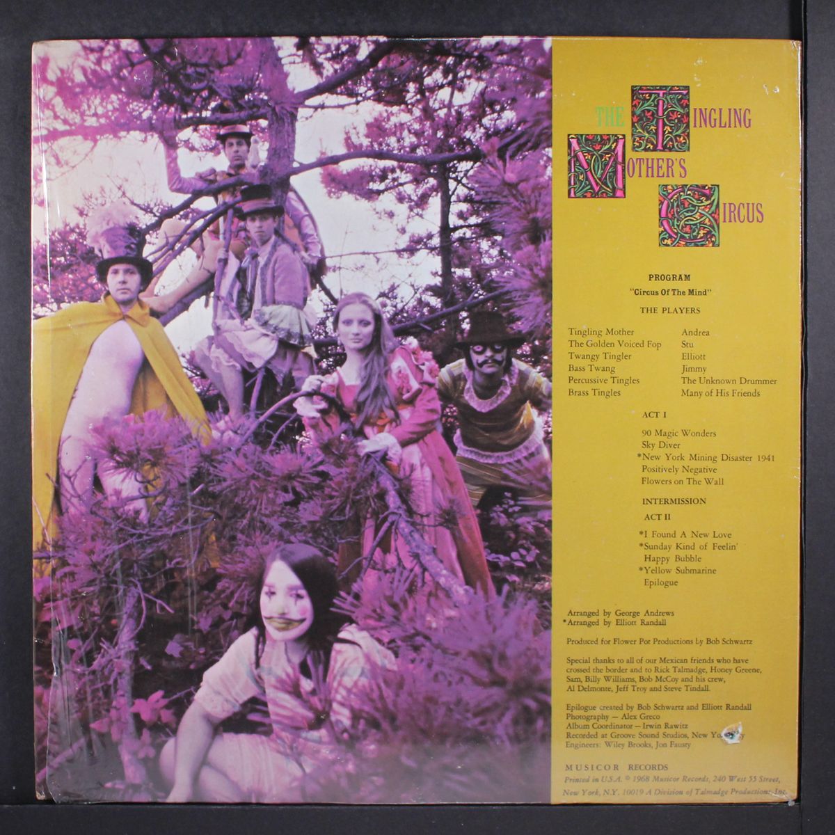 a circus of the mind by TINGLING MOTHER'S CIRCUS