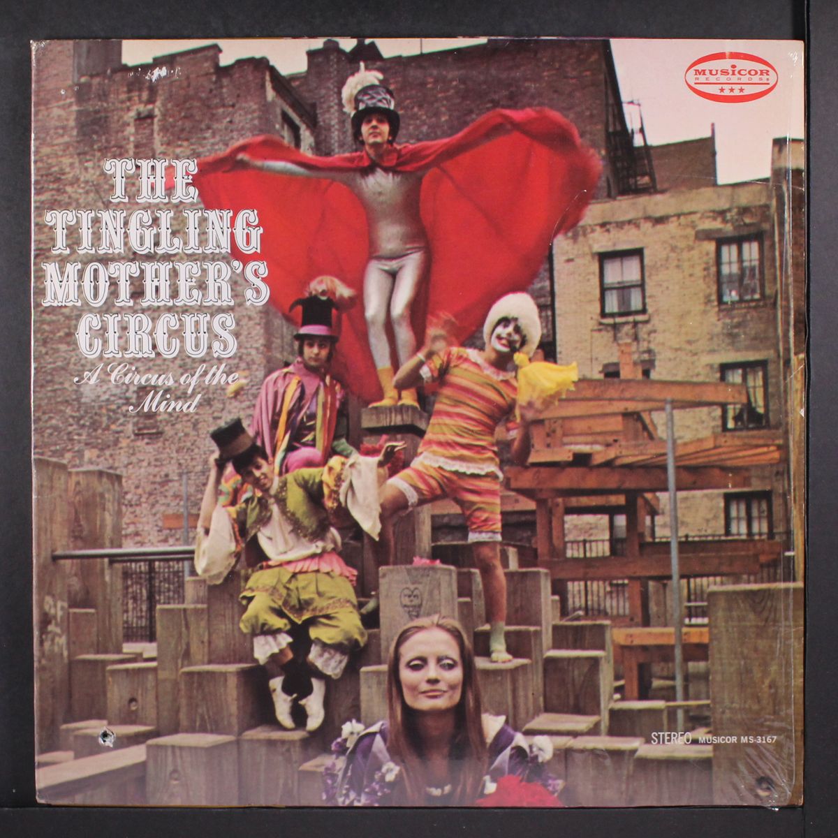 a circus of the mind by TINGLING MOTHER'S CIRCUS
