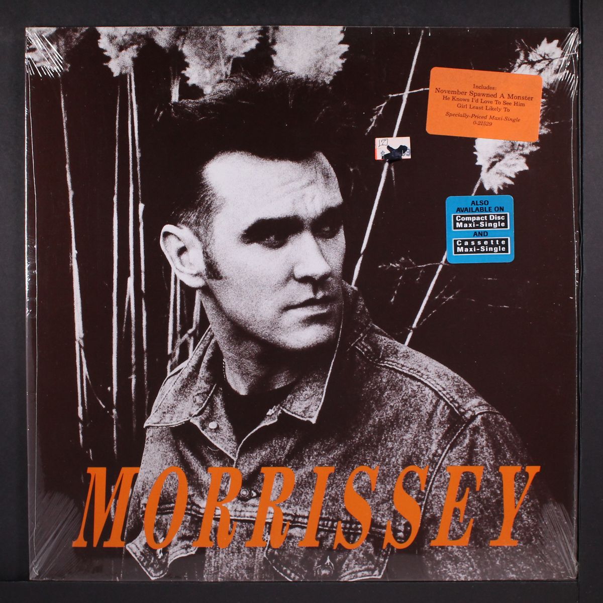 november spawned a monster by MORRISSEY