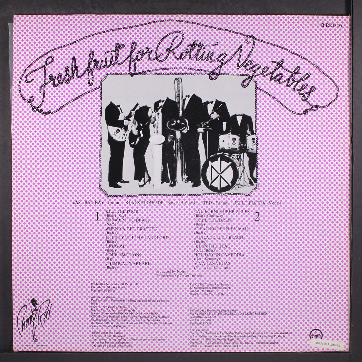 fresh fruit for rotting vegetables by DEAD KENNEDYS