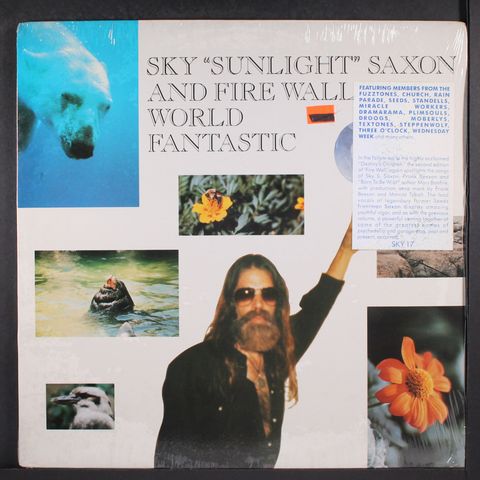 SKY SUNLIGHT SAXON & FIREWALL