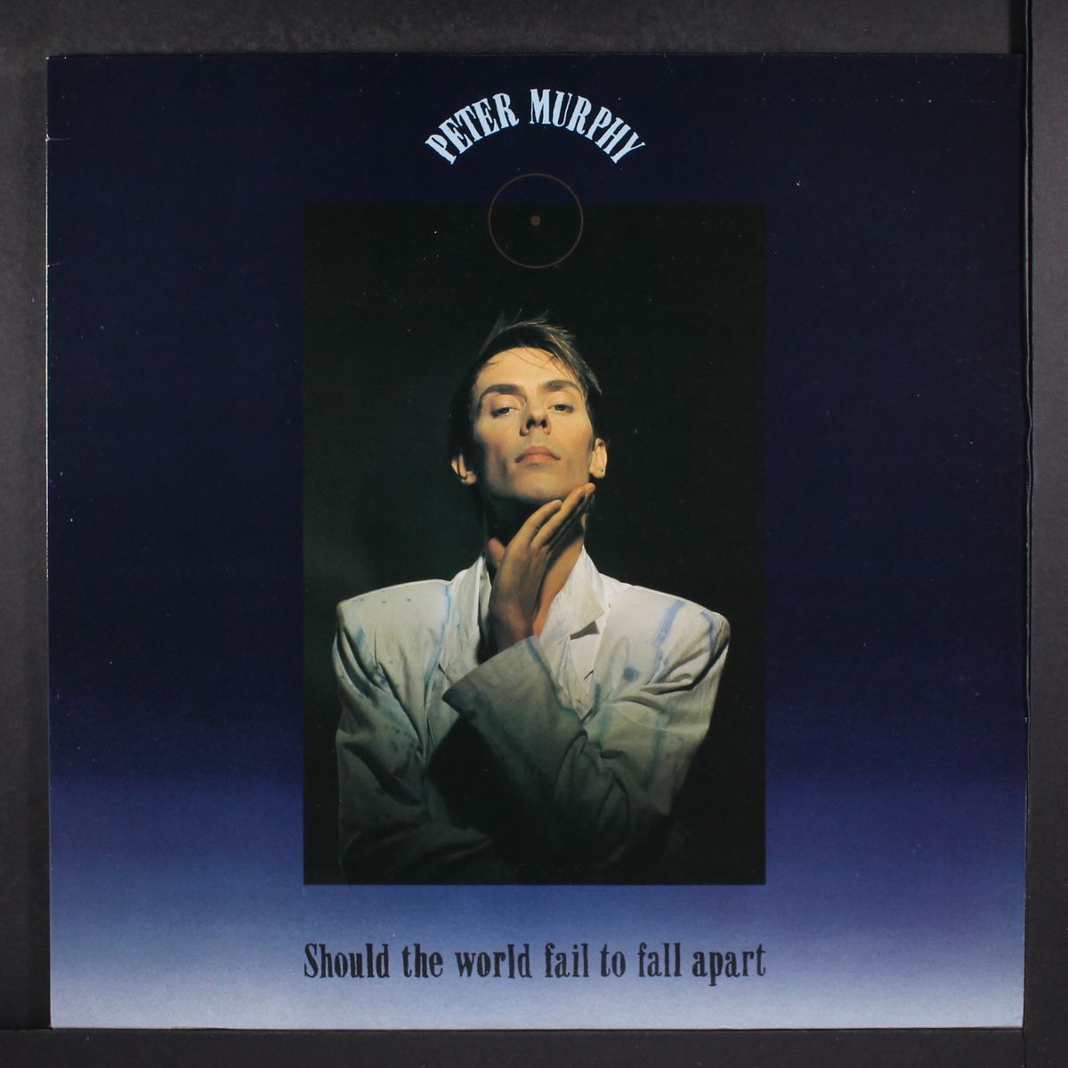 should the world fail to fall apart by PETER MURPHY