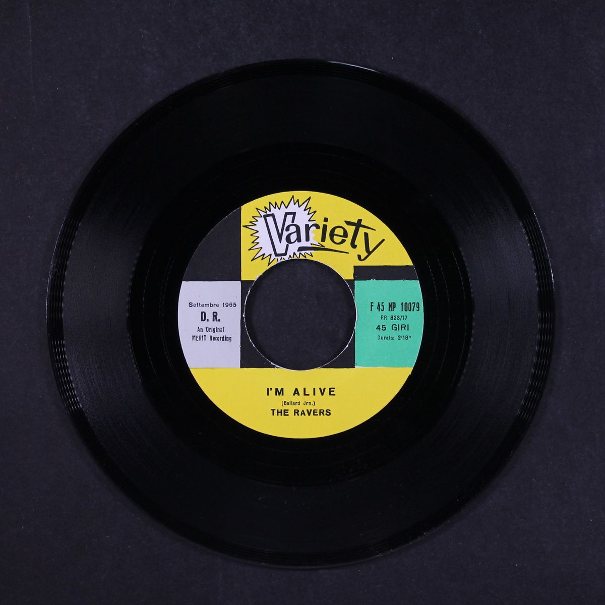 i'm alive / wooly bully by RAVERS