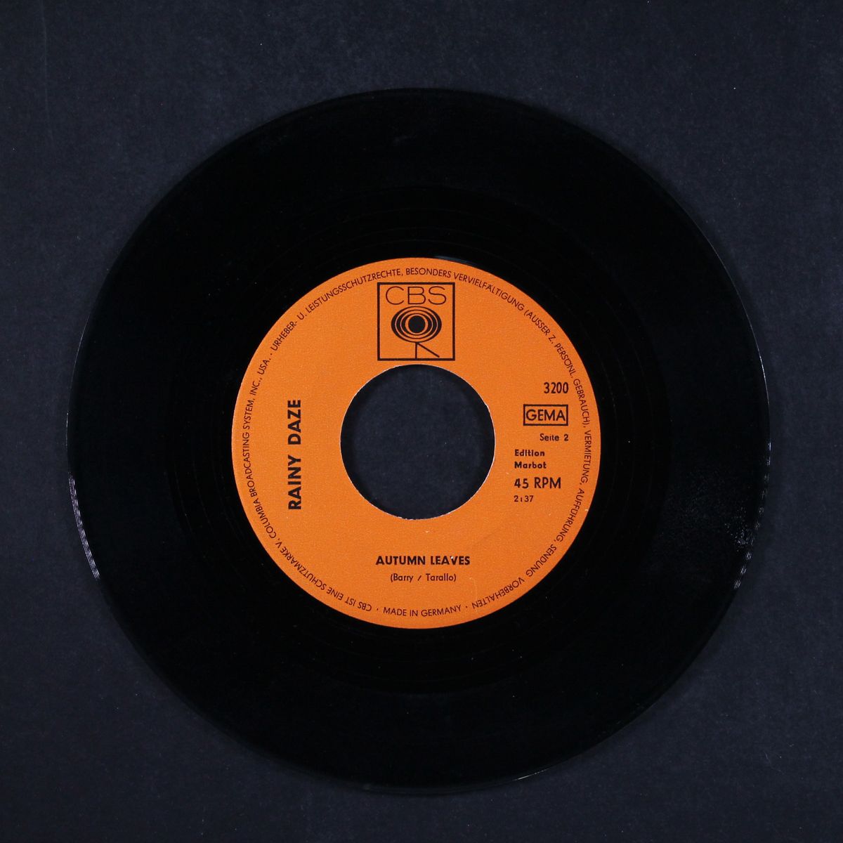 what do you think / autumn leaves by RAINY DAZE