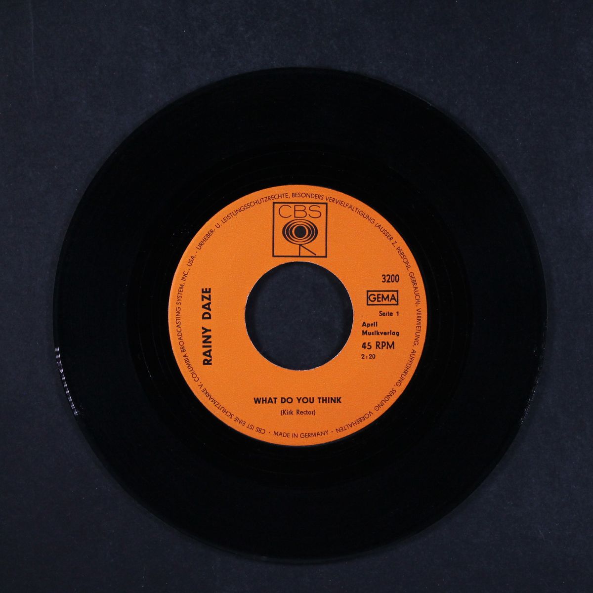 what do you think / autumn leaves by RAINY DAZE