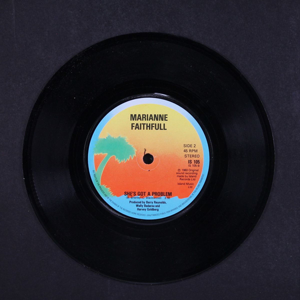 running for our lives by MARIANNE FAITHFUL