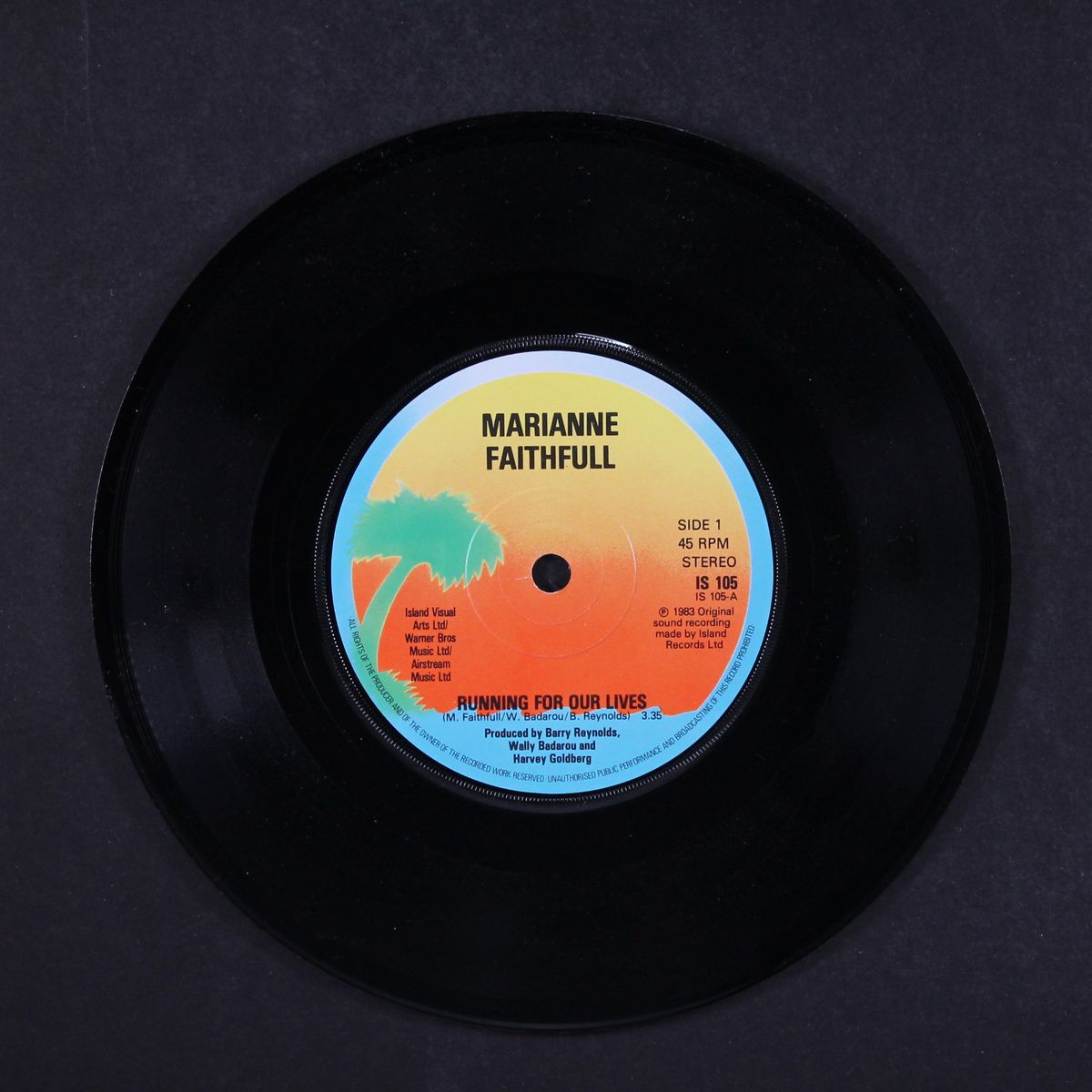 running for our lives by MARIANNE FAITHFUL