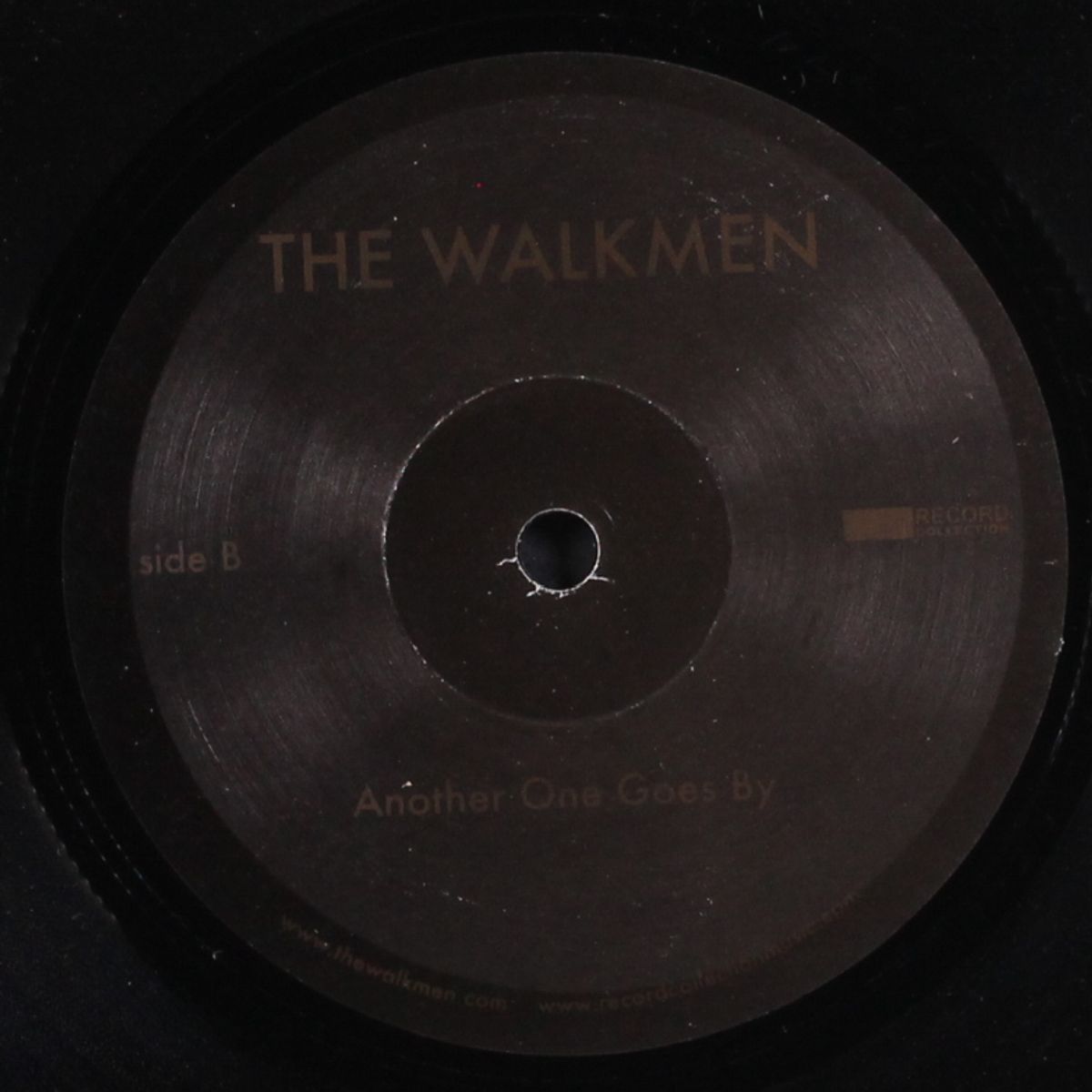 louisiana by WALKMEN