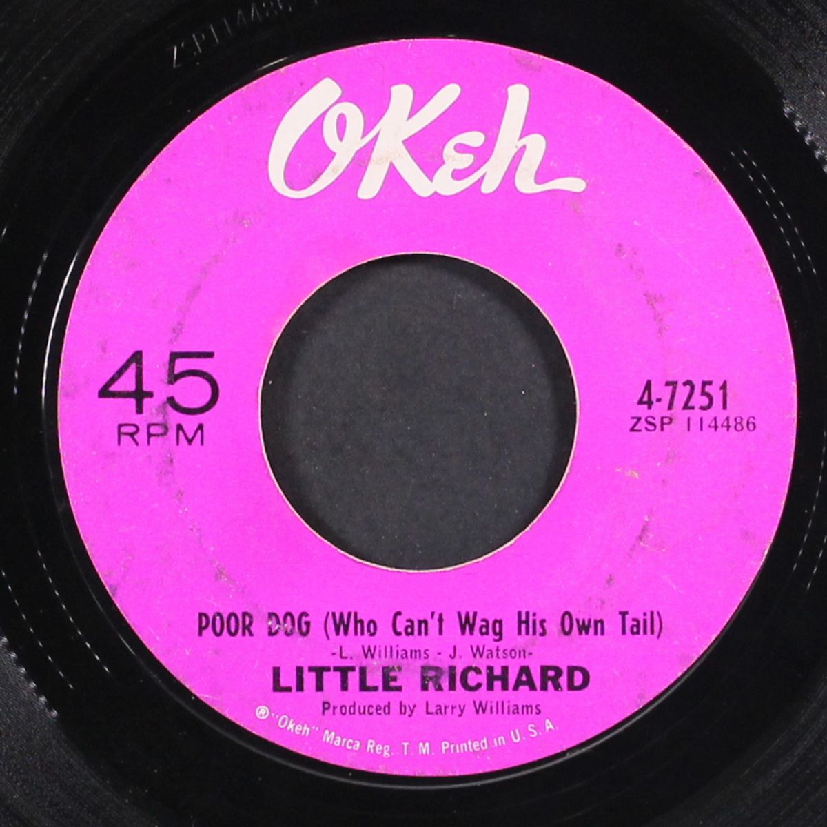 poor dog by LITTLE RICHARD