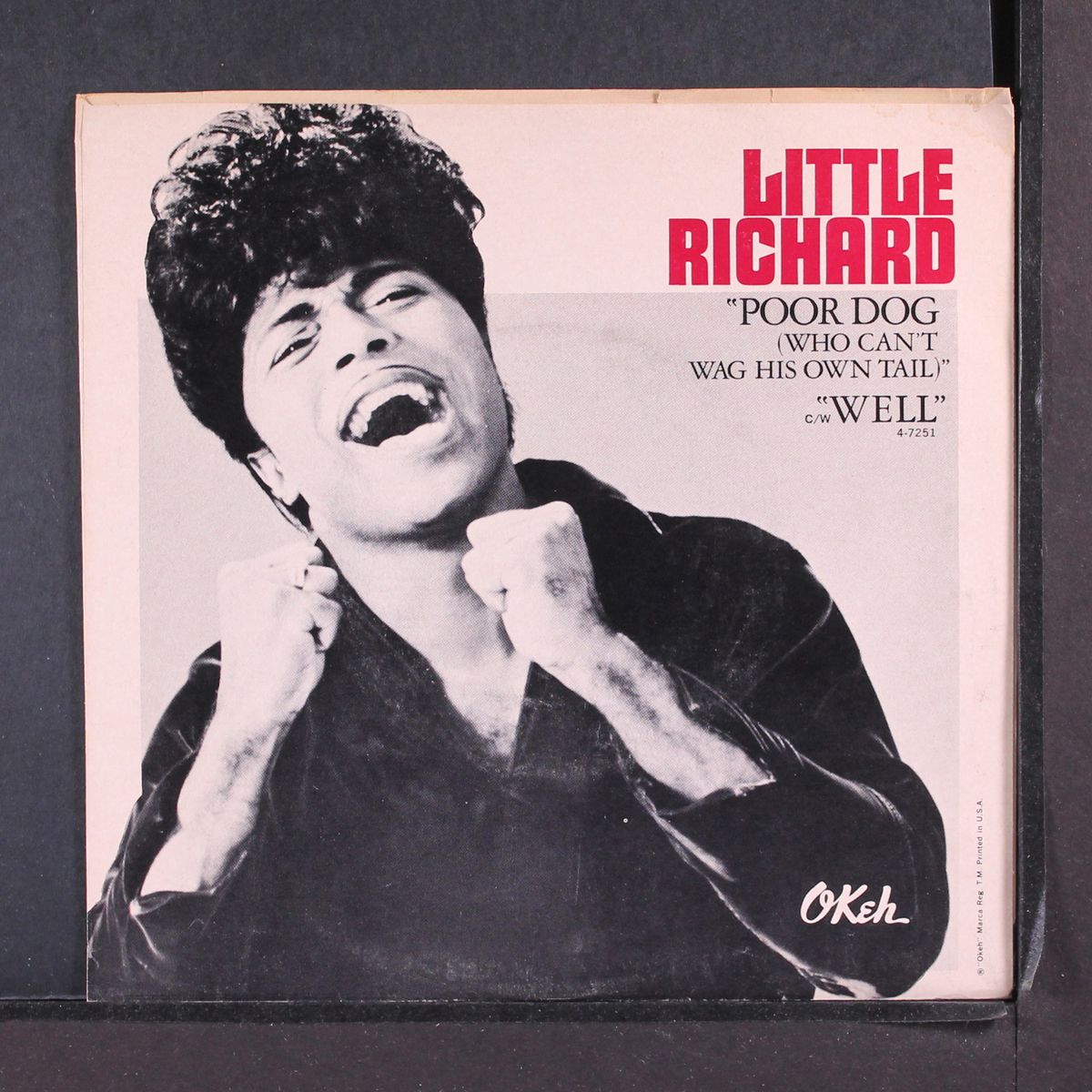 poor dog by LITTLE RICHARD