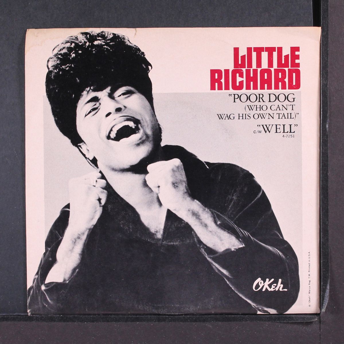 poor dog by LITTLE RICHARD