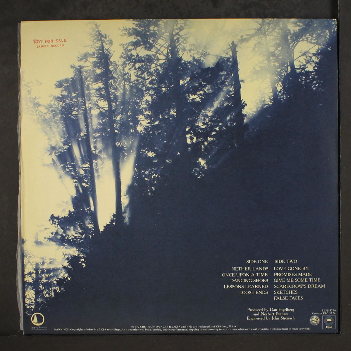 nether lands by DAN FOGELBERG