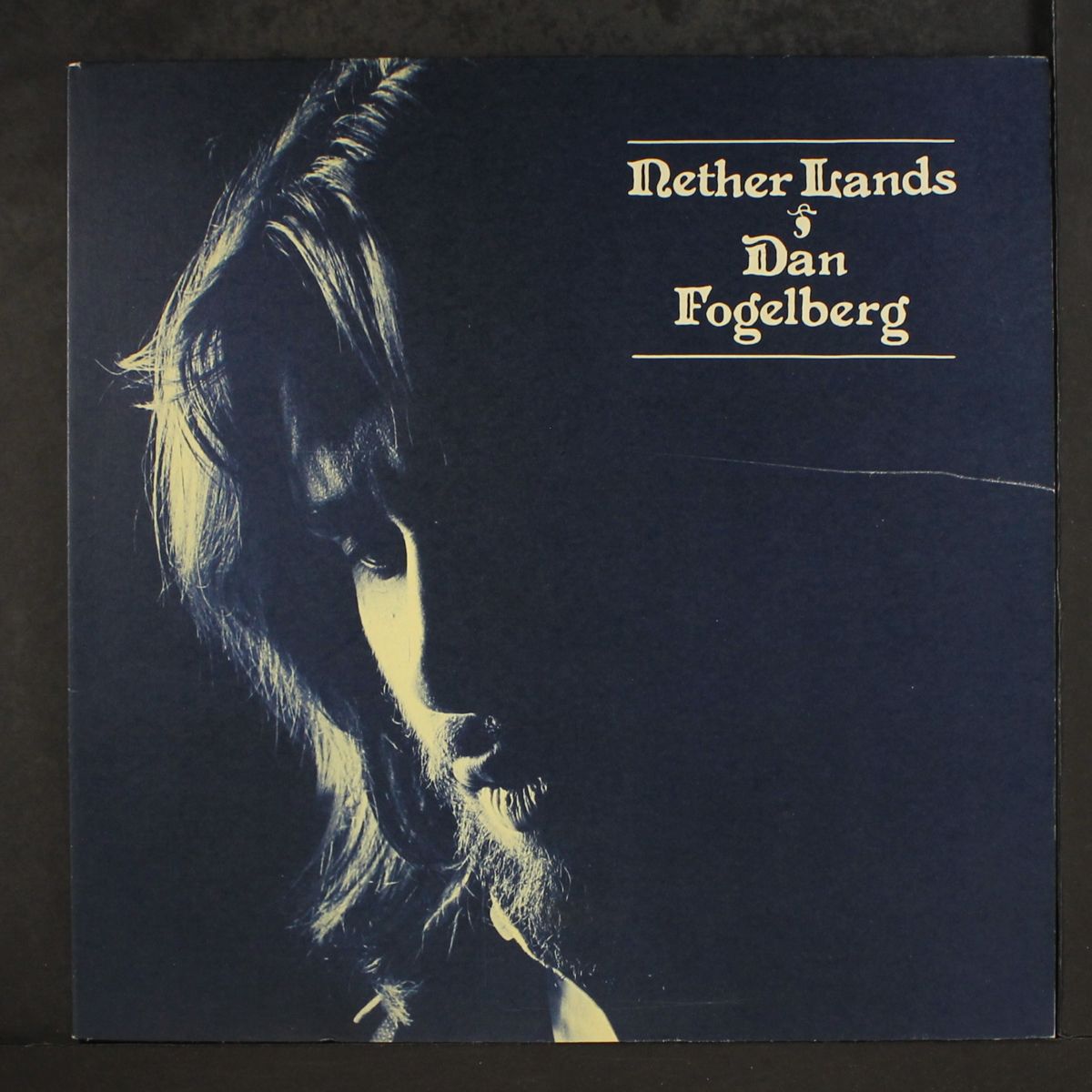 nether lands by DAN FOGELBERG