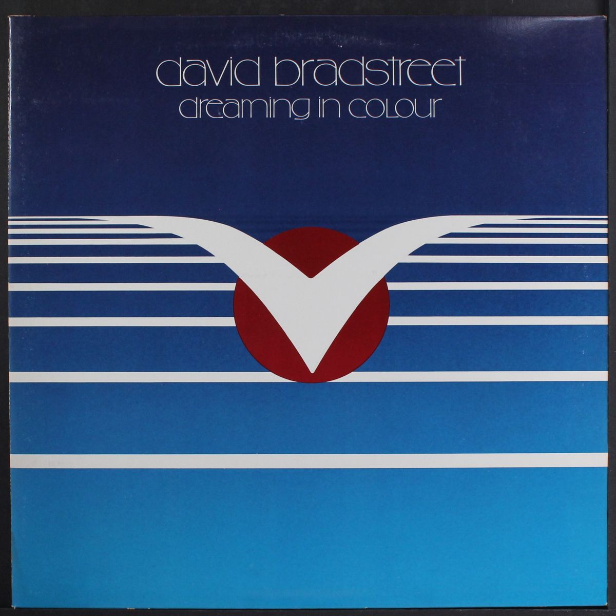 dreaming in colour by DAVID BRADSTREET