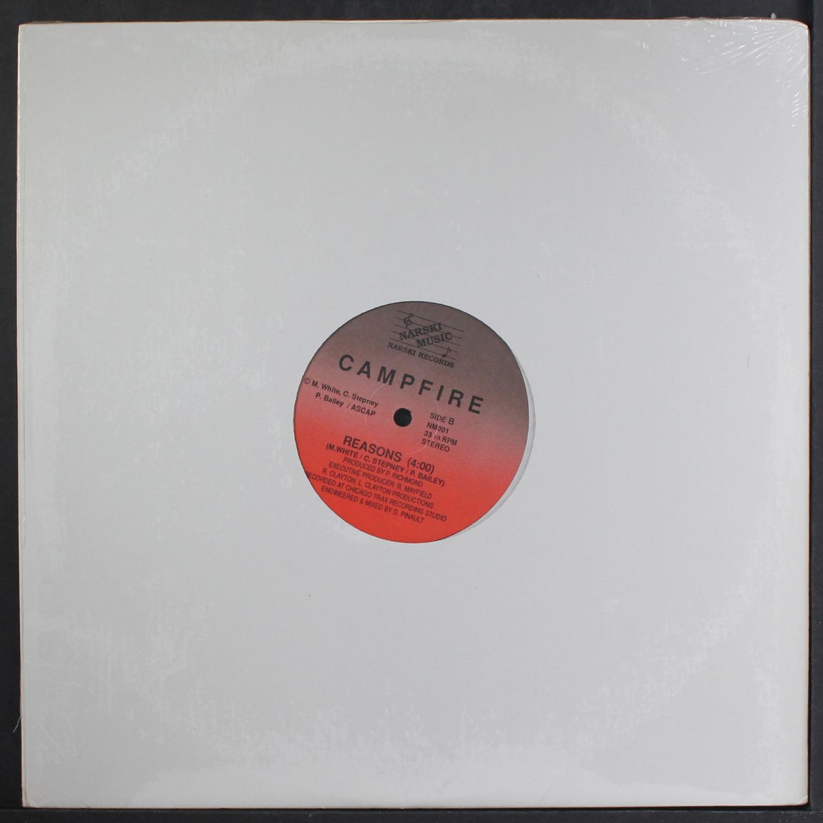 big thing / reasons by CAMPFIRE