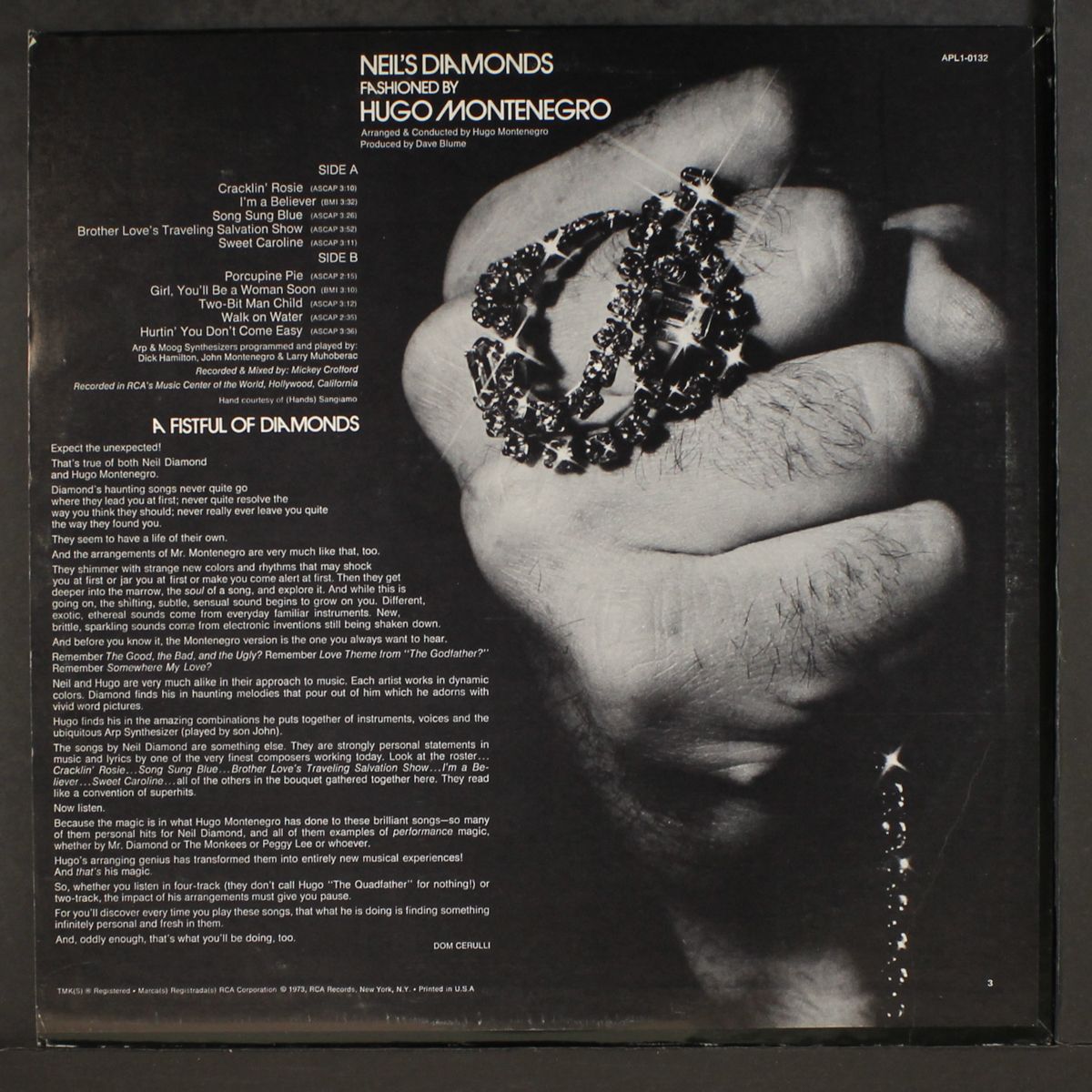 neil's diamonds by HUGO MONTENEGRO
