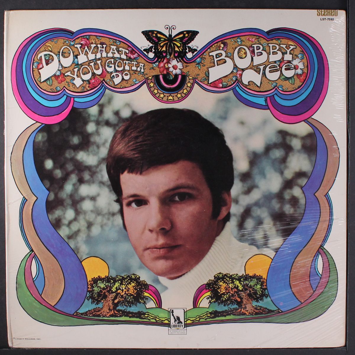 do what you gotta do by BOBBY VEE