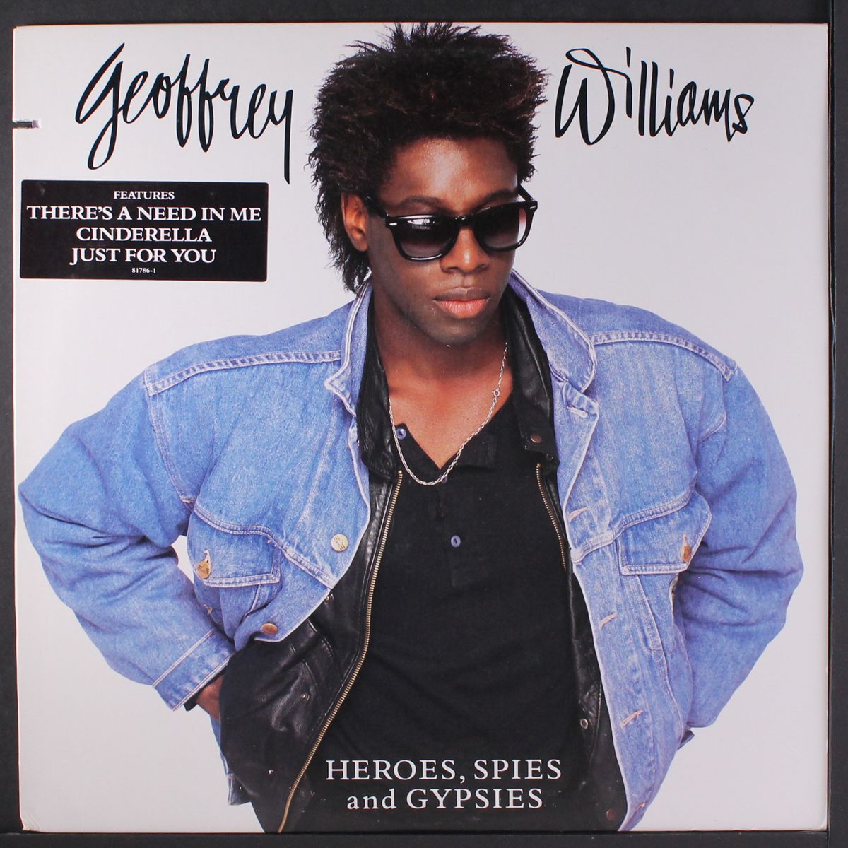 heroes, spies & gypsies by GEOFFREY WILLIAMS
