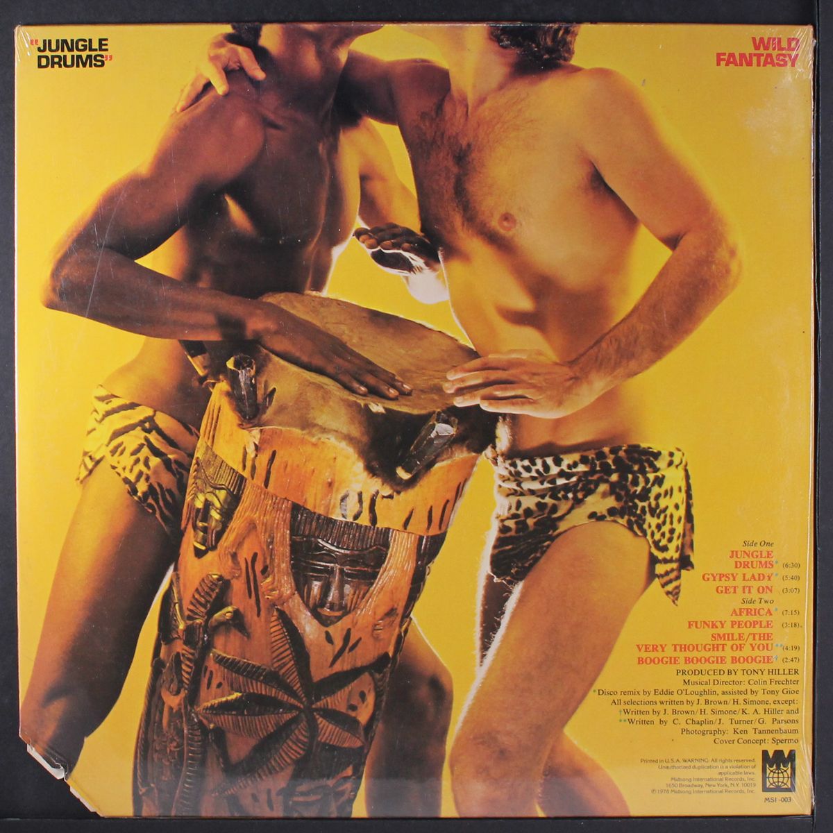 jungle drums by WILD FANTASY