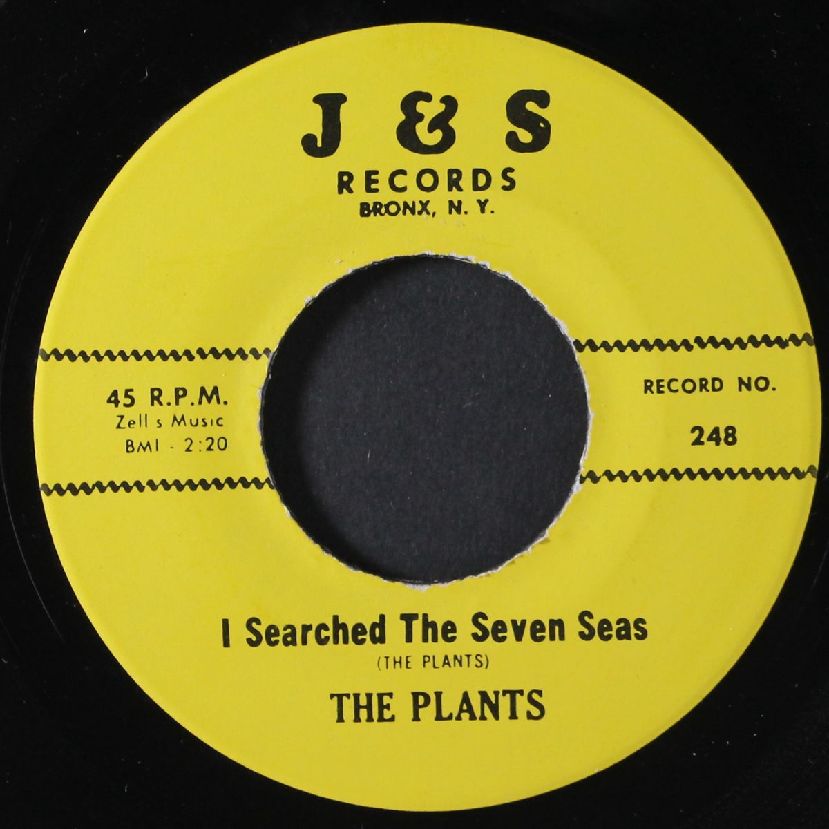 i searched the seven seas by PLANTS