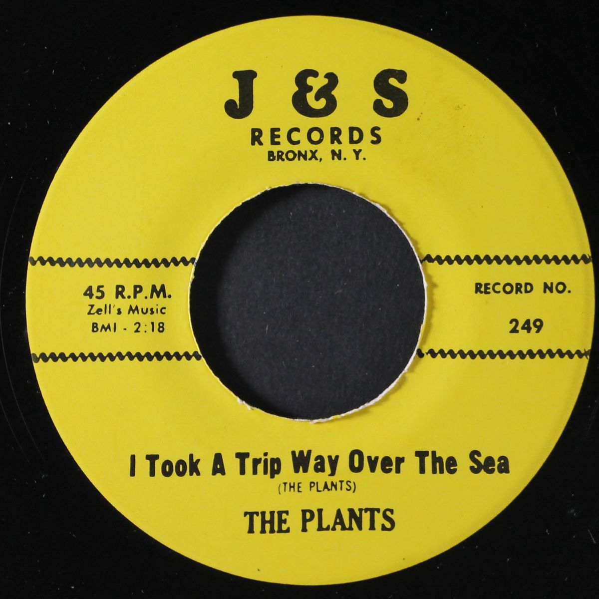 i searched the seven seas by PLANTS