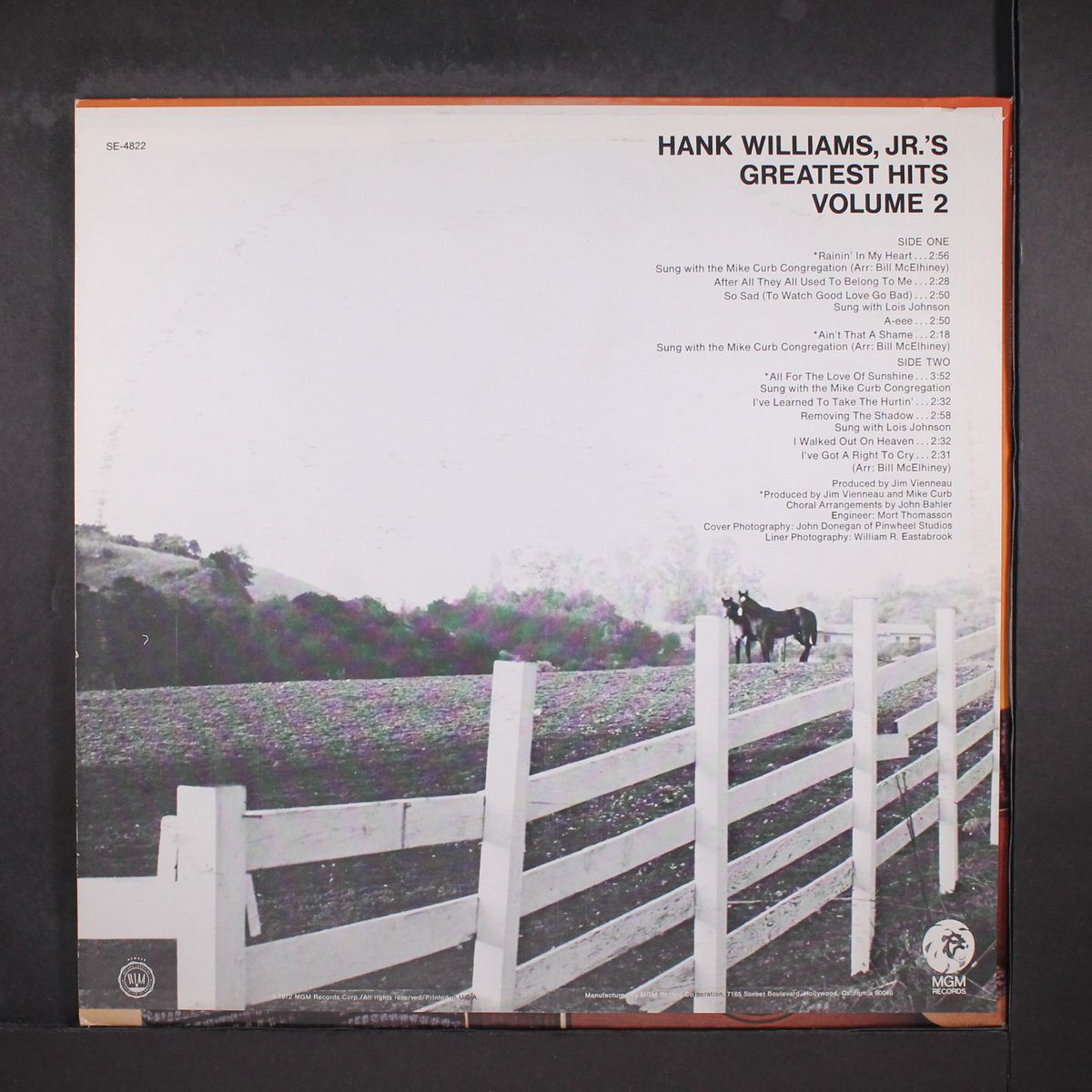 greatest hits, vol. 2 by HANK WILLIAMS, JR.