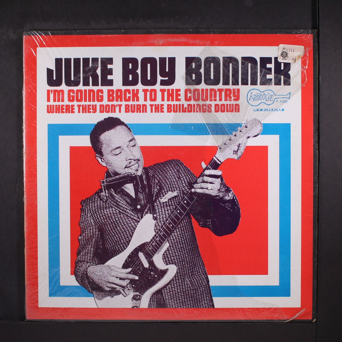 i'm going back to the country by JUKE BOY BONNER