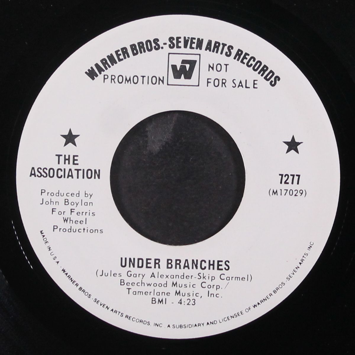 under branches / here in here by ASSOCIATION