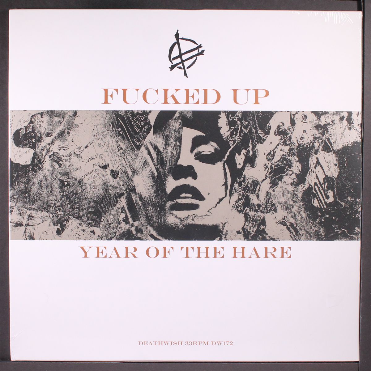 year of the hare by FUCKED UP